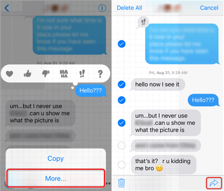 iMessage をコピーして電子メールに貼り付ける