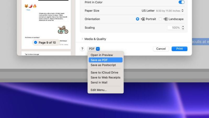 Mac コンピュータで iMessage を PDF ファイルにエクスポートする