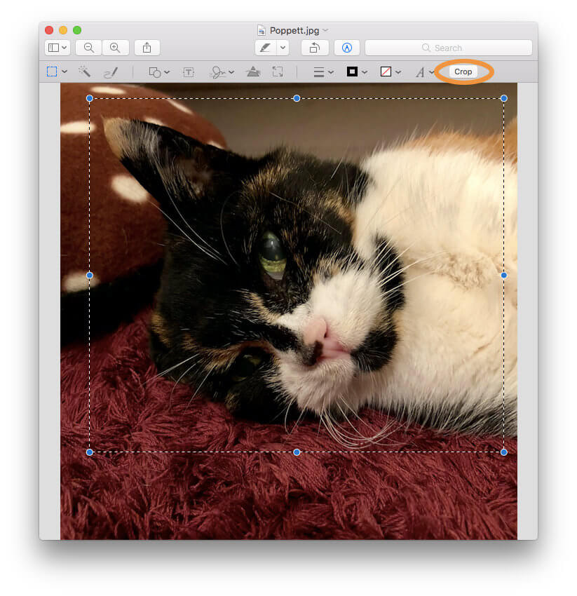 22 Macで画像をトリミングする方法