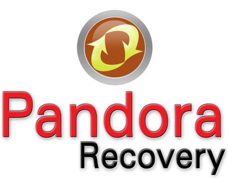 EaseUS Data Recovery Alternative：Pandora Recovery