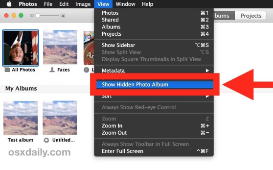 Mac で非表示のフォト アルバムを表示する
