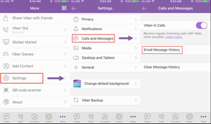 Viber を使用して iPhone からコンピューターに Viber 履歴を転送する