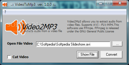 Video4MP2 Onlineを使用してMP4から音声を抽出する方法