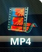 Instagramビデオコンバーター-ビデオコンバーター.MP4