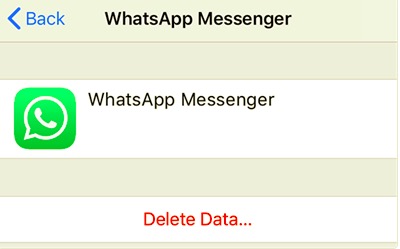 WhatsApp iCloudデータを削除して、WhatsAppバックアップを消去します