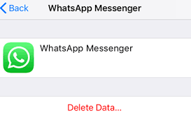 iCloud WhatsAppバックアップデータの削除